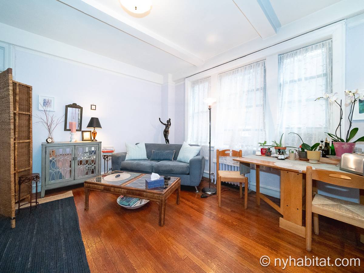 New York Roommate Share Apartment - Apartment reference NY-6091
