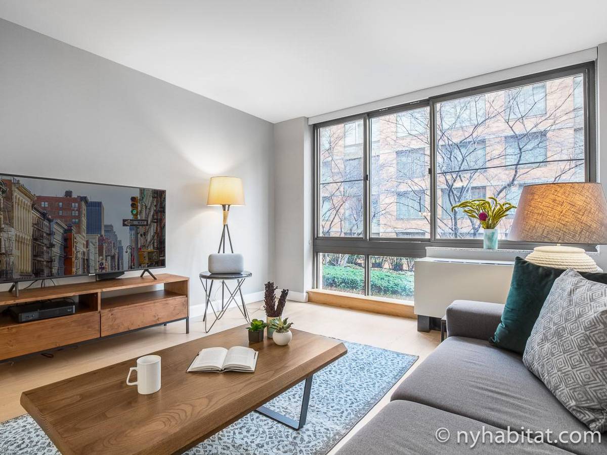 New York - 1 Bedroom apartment - Apartment reference NY-17813
