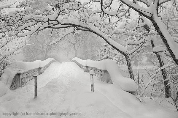 central park new york. Bow Bridge Central Park New