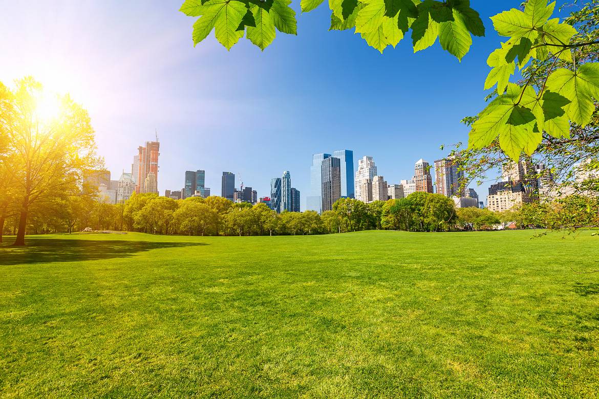 summer new york city