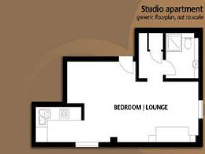 London Studio apartment - apartment layout  (LN-830)
