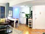 New York 1 Bedroom apartment - Apartment reference NY-11080