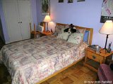 New York T4 appartements colocation - Appartement r&eacute;f&eacute;rence NY-12501