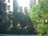 New York 2 Bedroom roommate share apartment - Apartment reference NY-14288