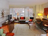 New York Alcove&nbsp;Studio&nbsp;T1 logement location appartement - Appartement r&eacute;f&eacute;rence NY-14465