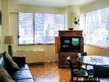New York 1 Bedroom apartment - Apartment reference NY-4367