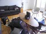 Par&iacute;s 4 Dormitorios apartamento - Referencia apartamento PA-1501