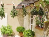 S&uuml;dfrankreich - Provence - Luberon - 3 Zimmer Maison de Village wohnung bed breakfast - Wohnungsnummer PR-534
