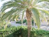 S&uuml;dfrankreich - C&ocirc;te d'Azur - 2 Zimmer Duplex ferienwohnung - Wohnungsnummer PR-614