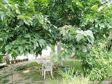 South France - Camargue - Blue Coast - 2 Bedroom Duplex Villa accommodation - Apartment reference PR-956