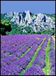 South of France apartments and their pictures