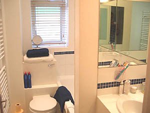 Londra 1 Camera appartamento casa vacanze - bagno (LN-259) photo 1 di 1