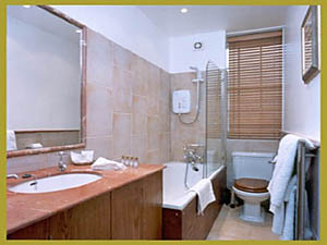 Londres Estudio alojamiento - ba&ntilde;o (LN-310) photo 1 de 1
