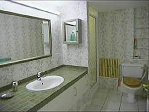 Londra 1 Camera appartamento casa vacanze - bagno (LN-404) photo 1 di 1