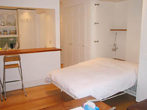 Londra Monolocale appartamento casa vacanze - soggiorno (LN-463) photo 5 di 6