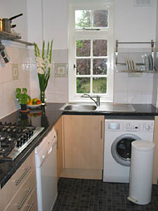 Londra 1 Camera appartamento - cucina (LN-501) photo 3 di 3