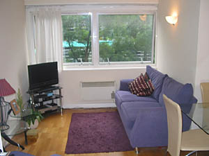 London 2 Bedroom accommodation - living room (LN-604) photo 2 of 2