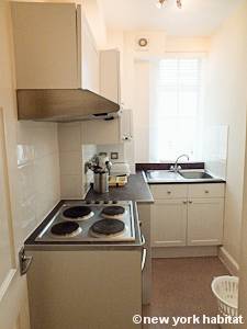 London 1 Bedroom accommodation - kitchen (LN-710) photo 1 of 2