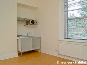 London Studio apartment - kitchen (LN-1183) photo 1 of 1