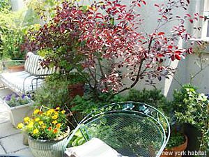 New York T4 - Duplex appartement colocation - autre (NY-11) photo 9 sur 10