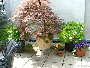 New York T4 - Duplex appartement colocation - autre (NY-11) photo 5 sur 10
