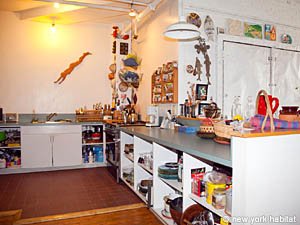 New York T2 - Loft appartements location vacances - cuisine (NY-207) photo 1 de 1