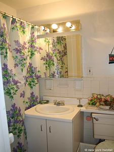 New York 3 Bedrooms roommate share apartment living room photo 12