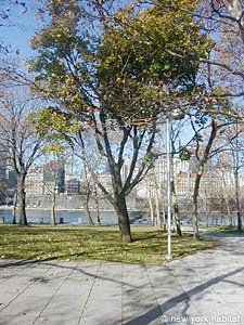 New York T3 appartements colocation - autre (NY-757) photo 8 de 9