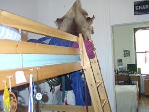 New York 2 Bedroom accommodation - bedroom 2 (NY-10024) photo 3 of 3