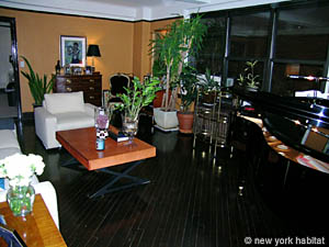 New York 1 Camera appartamento casa vacanze - soggiorno (NY-10126) photo 5 di 11