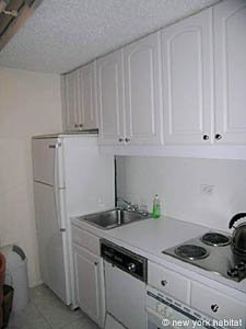 New York 1 Bedroom apartment - kitchen (NY-10285) photo 1 of 1