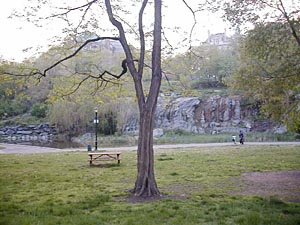 New York 1 Bedroom accommodation bed breakfast - other (NY-10406) photo 5 of 10