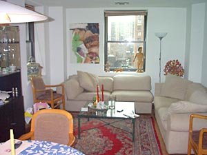 Nueva York 1 Dormitorio alojamiento - Referencia apartamento NY-10526