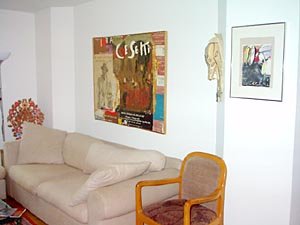 Nueva York 1 Dormitorio alojamiento - sala (NY-10526) photo 3 de 10