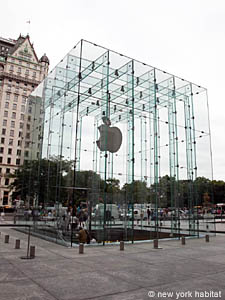 New York 2 Camere appartamento da dividere - bagno 1 (NY-10641) photo 5 di 5