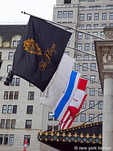 New York 2 Camere appartamento da dividere - camera 2 (NY-10641) photo 1 di 2