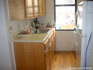 New York T3 - Penthouse appartements location vacances - cuisine (NY-10756) photo 1 de 3
