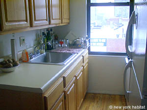 New York T3 - Penthouse appartements location vacances - cuisine (NY-10756) photo 3 de 3