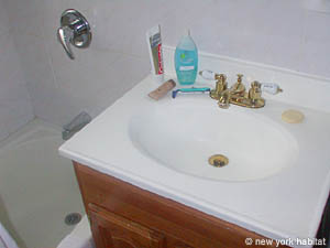 New York T3 - Penthouse appartements location vacances - salle d'eau 1 (NY-10756) photo 2 de 2