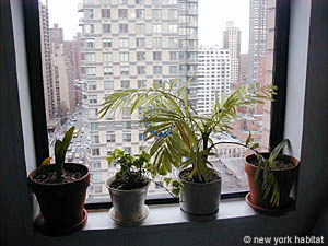 New York 2 Zimmer wohngemeinschaft - andere (NY-10837) photo 1 von 7