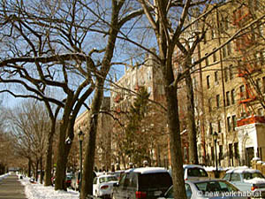 New York 3 Camere appartamento da dividere - altro (NY-10901) photo 5 di 8