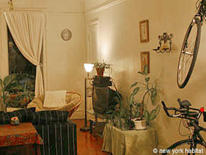 New York 3 Camere appartamento da dividere - soggiorno (NY-10901) photo 7 di 9