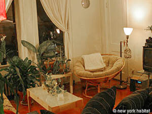 New York 3 Camere appartamento da dividere - soggiorno (NY-10901) photo 6 di 9