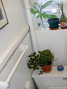 New York 3 Camere appartamento da dividere - bagno 2 (NY-10901) photo 1 di 2