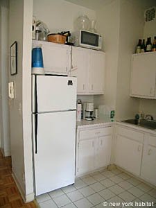 New York Studio apartment kitchen photo 4