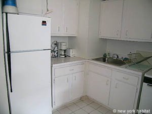 New York Studio apartment kitchen photo 5