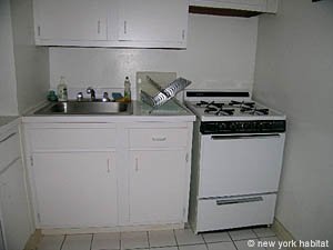 New York Studio apartment kitchen photo 6