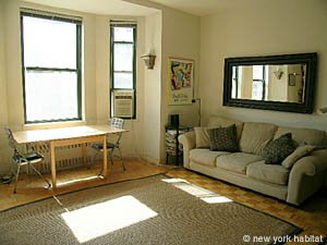 New York Studio apartment living room photo 18