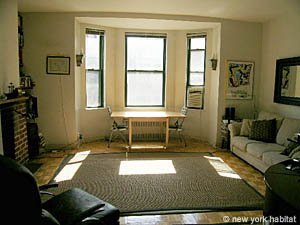 New York Studio apartment living room photo 19