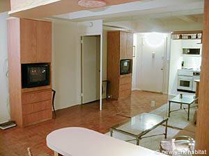 New York 1 Bedroom apartment living room photo 4